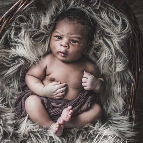 Beautiful Baby Boy Portrait in Basket
