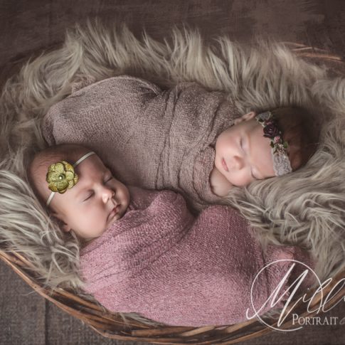 Newborn Twins Portrait in Wicker Basket
